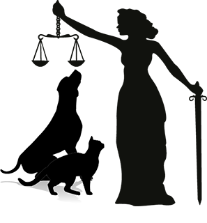 Image of Lady Justice Holding Scales Over Heads of A Dog and Cat